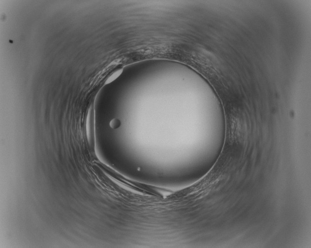 X0000062171250200512091421