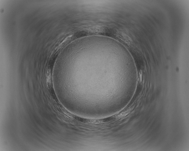 X0000062171251200512091421