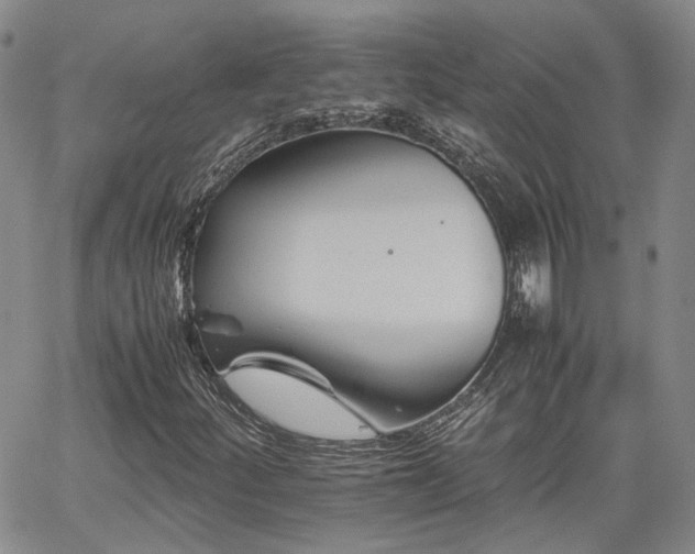 X0000062171252200512091421