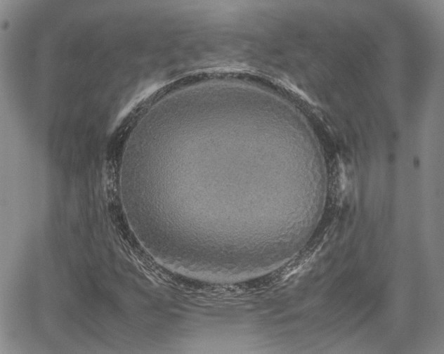 X0000062171255200512091421