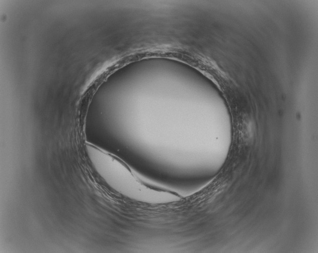 X0000062171256200512091421