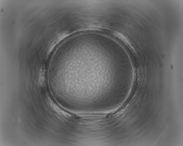 X0000062171260200512091421