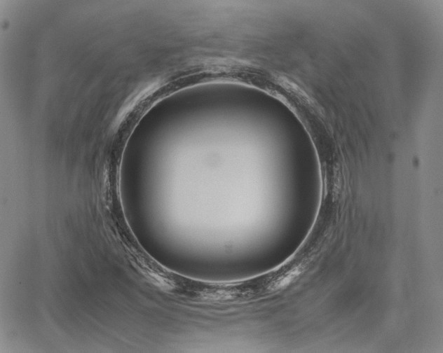 X0000062171261200512091421