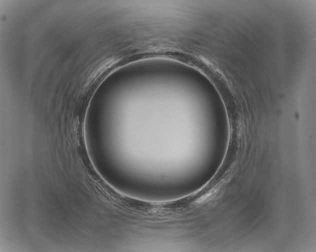 X0000062171265200512091421