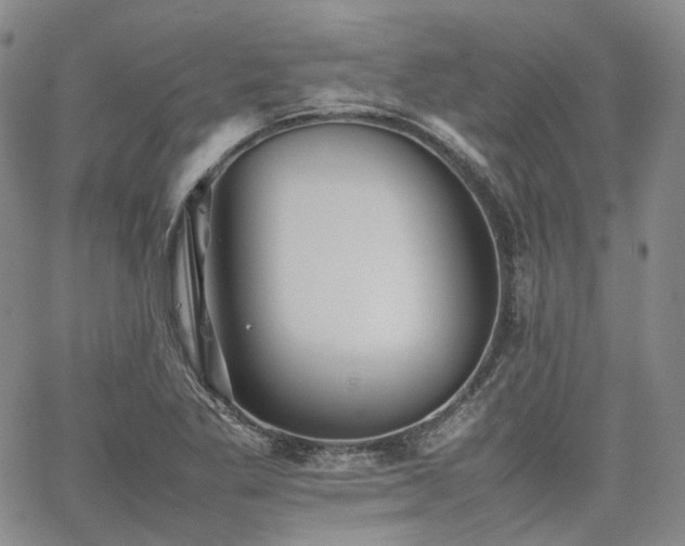 X0000062171269200512091421