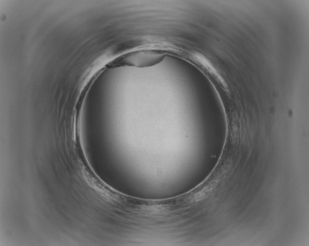 X0000062171276200512091421