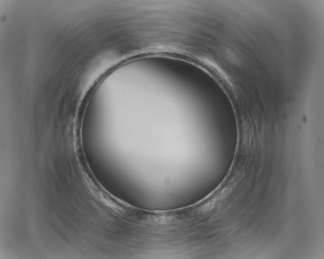 X0000062171278200512091421