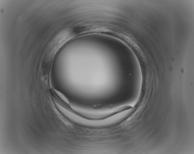 X0000062171281200512091421