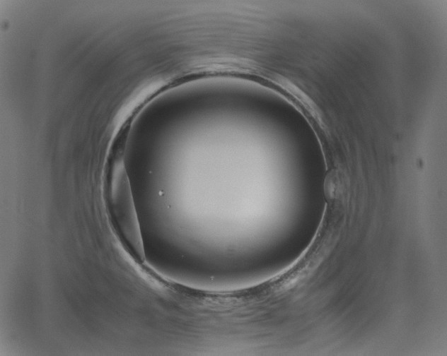X0000062171285200512091421