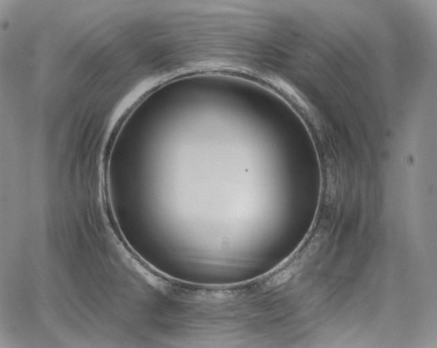 X0000062171286200512091421