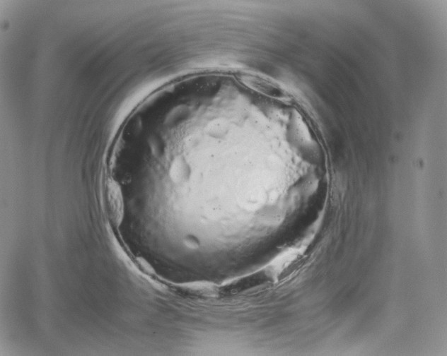 X0000062171295200512091420
