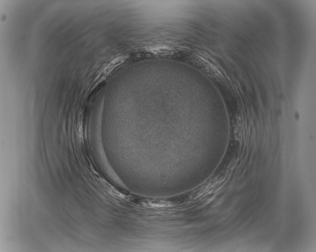 X0000062171298200512091420