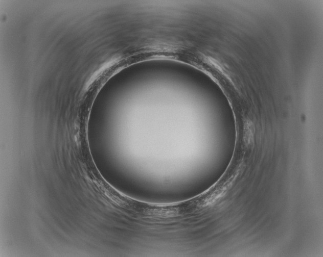 X0000062171307200512091420