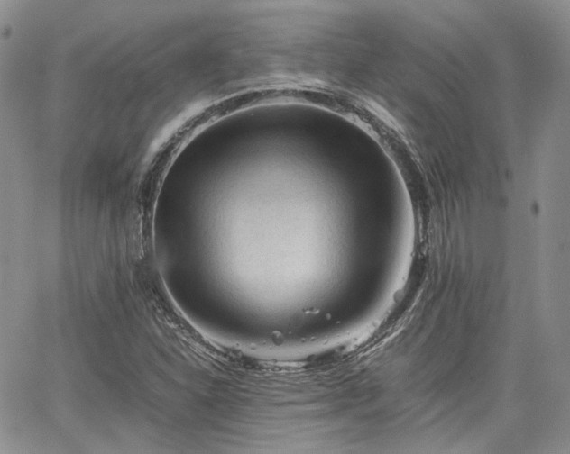 X0000062171310200512091420