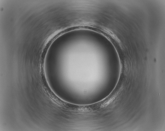 X0000062171316200512091420