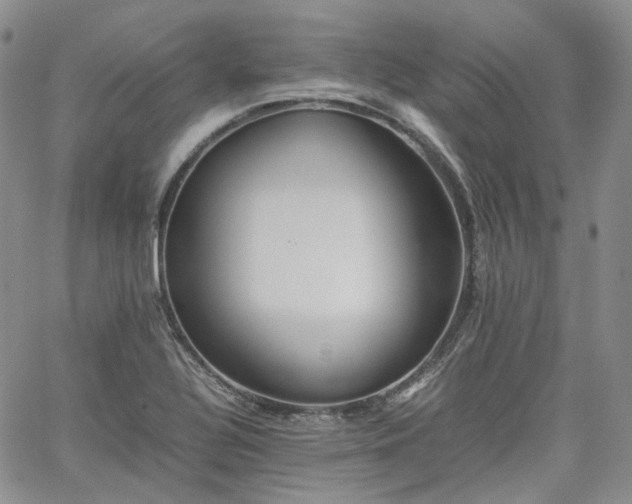 X0000062171320200512091420