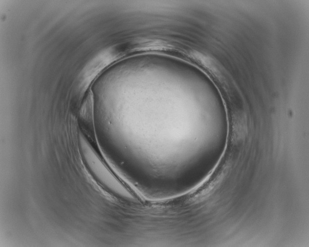 X0000062171329200512091420