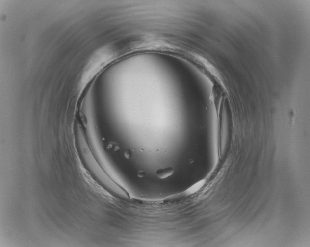 X0000062171330200512091420