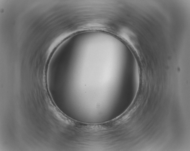 X0000062171336200512091420