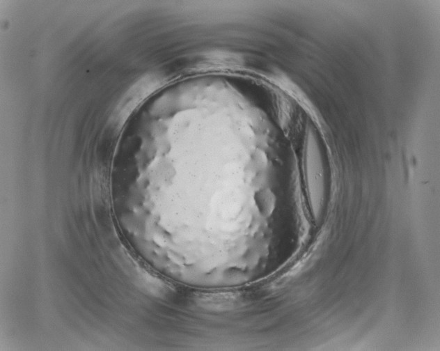 X0000062171337200512091420