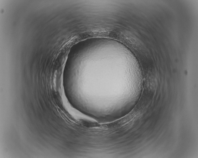 X0000062171346200512091420