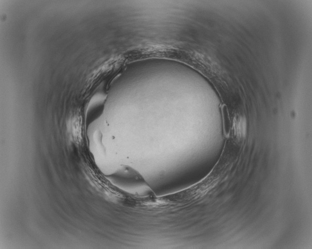 X0000062171348200512091420