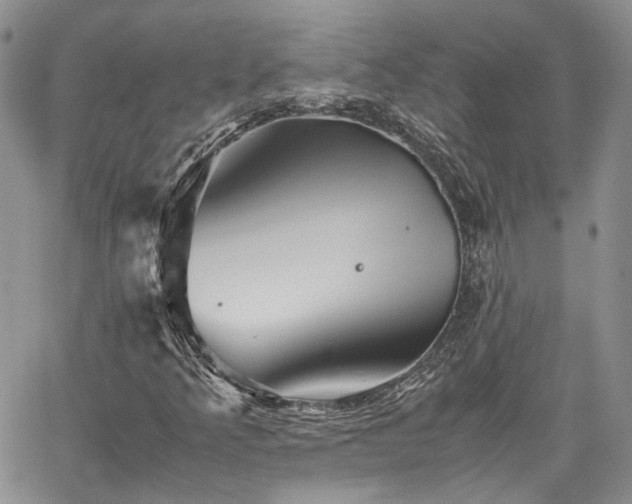 X0000062171349200512091419