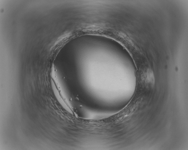 X0000062171350200512091419