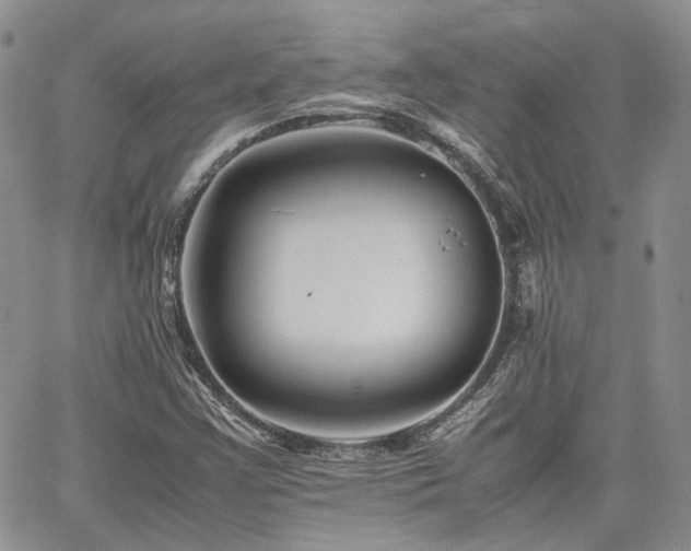 X0000062171355200512091419