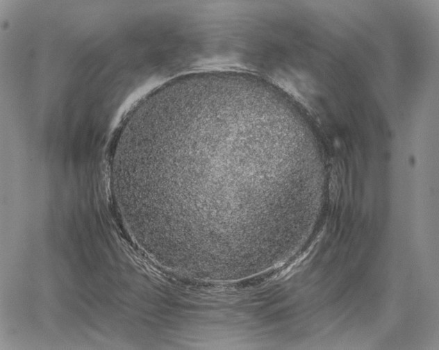 X0000062171358200512091419