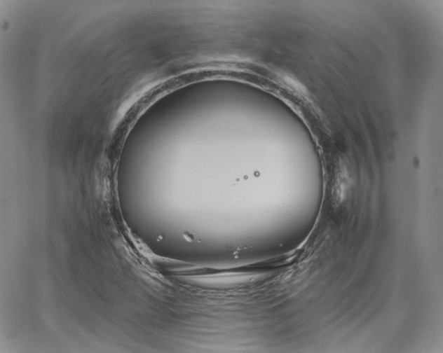 X0000062171360200512091419