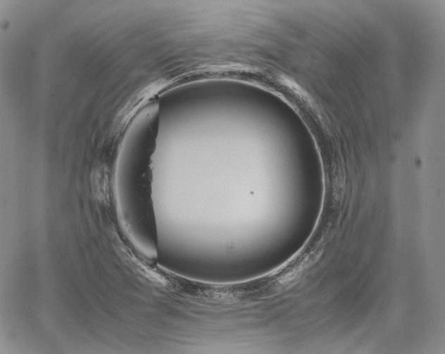 X0000062171361200512091419