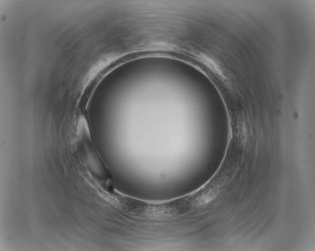 X0000062171364200512091419