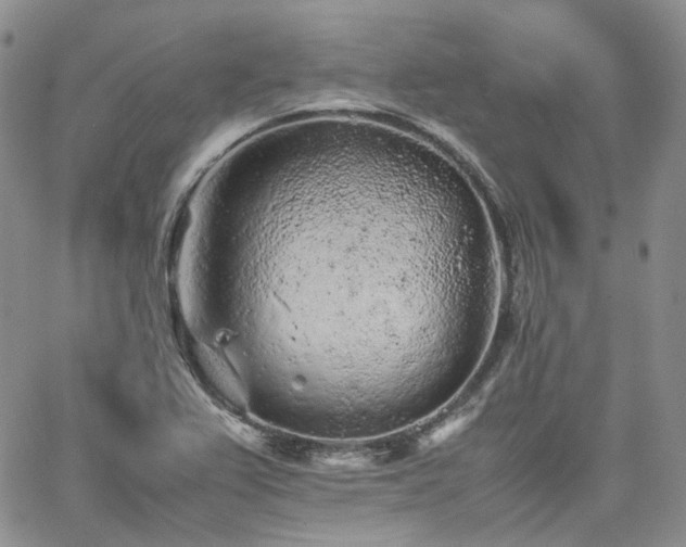 X0000062171367200512091419