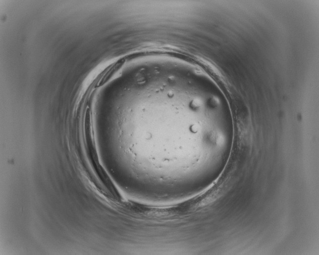 X0000062171371200512091419