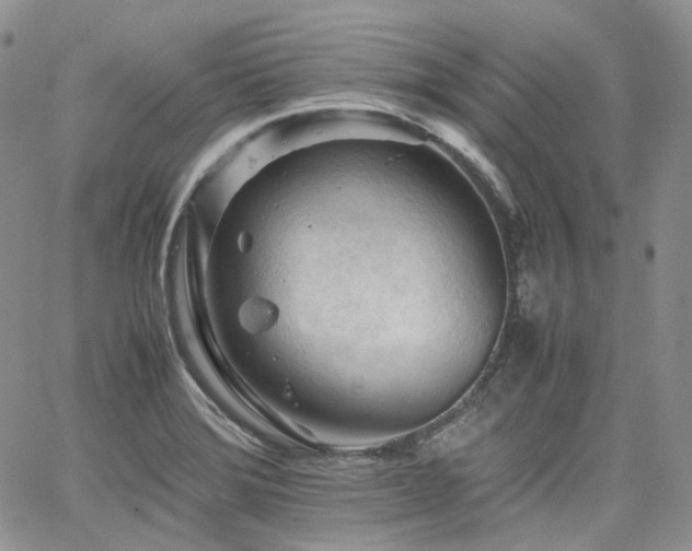X0000062171372200512091419