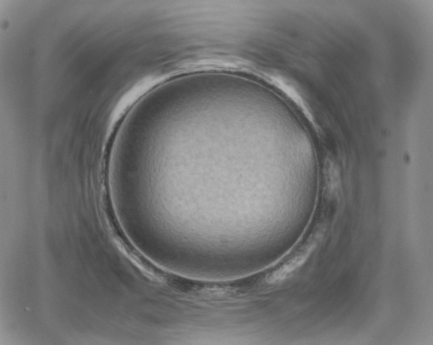 X0000062171373200512091419