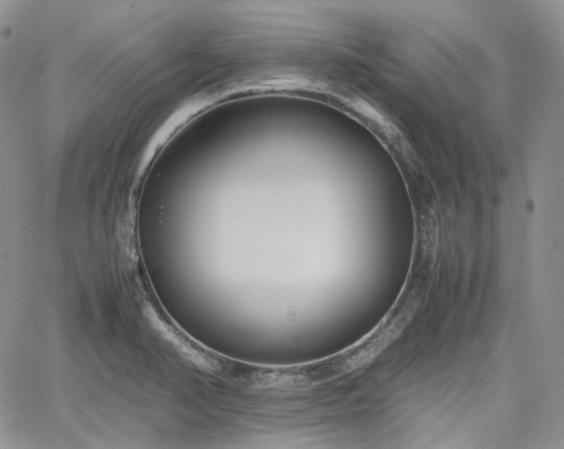 X0000062171374200512091419