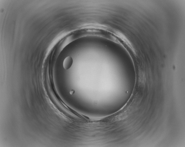 X0000062171376200512091419