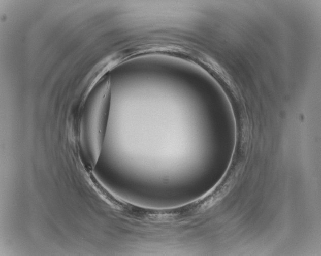 X0000062171377200512091419