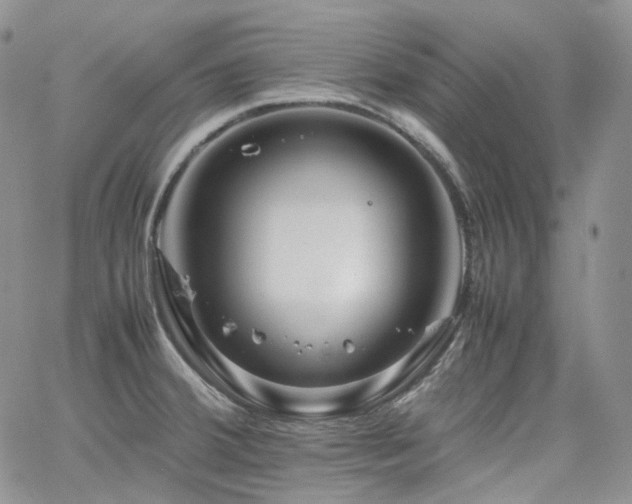 X0000062171380200512091419