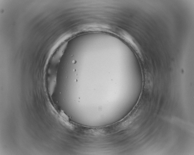 X0000062171384200512091419