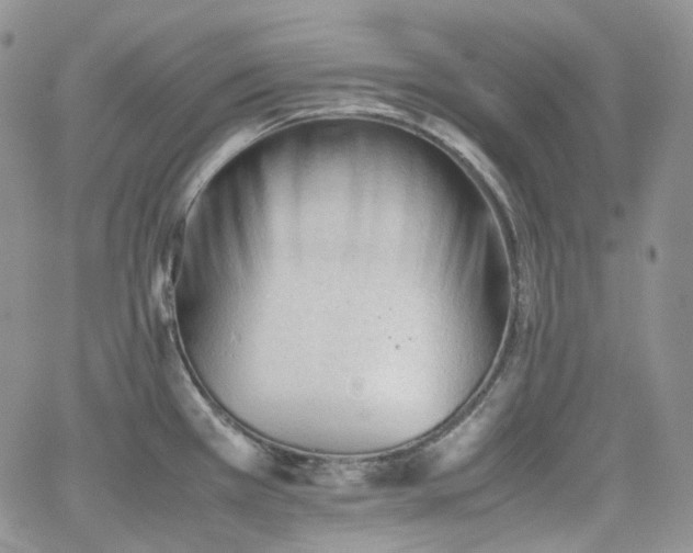 X0000062171385200512091419