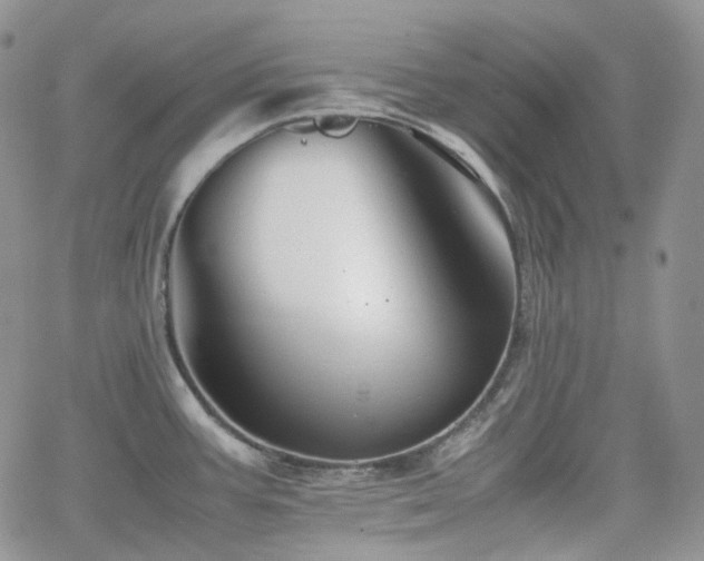 X0000062171387200512091419