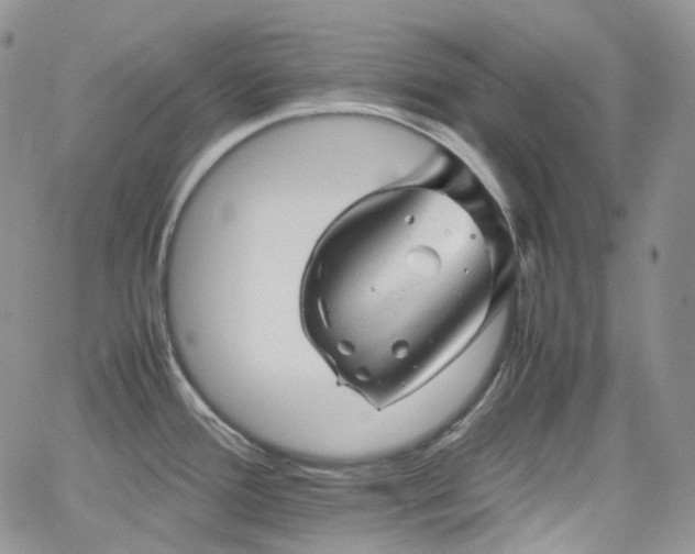 X0000062171388200512091419