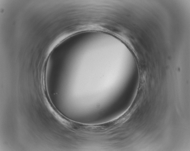 X0000062171391200512091419