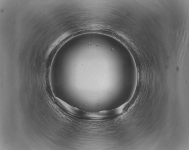 X0000062171410200512091418