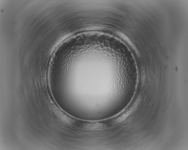 X0000062171417200512091418