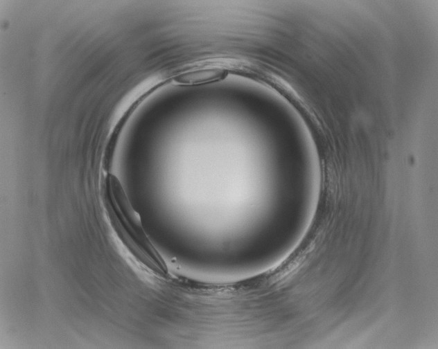 X0000062171426200512091419