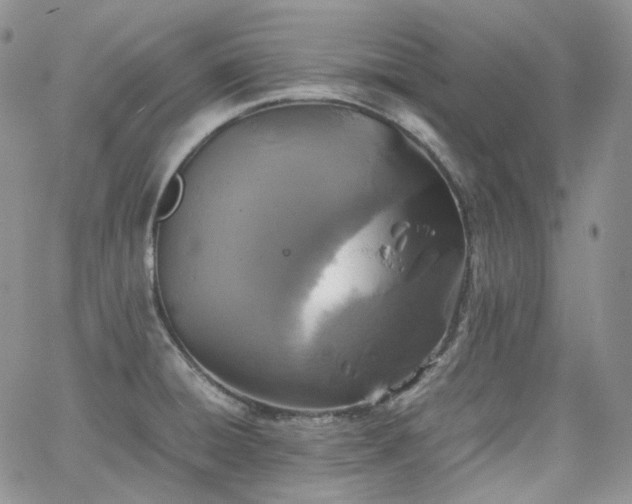 X0000062171428200512091419